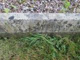 image of grave number 664052